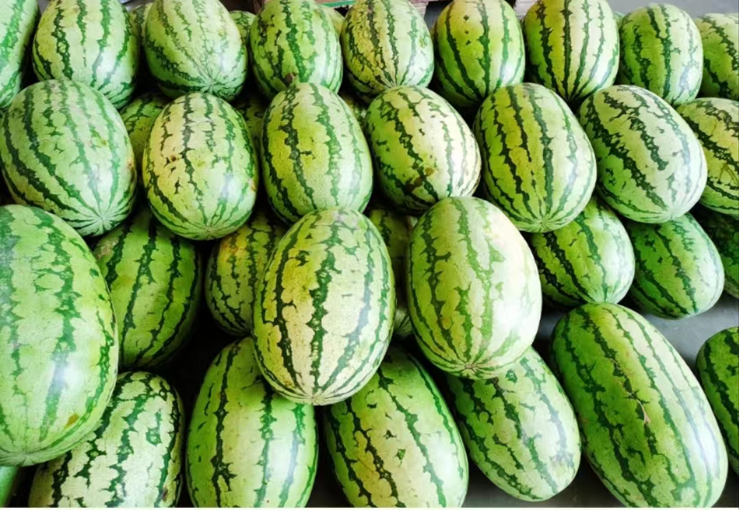 微信圖片_20240710103207.jpg 微信圖片_20240710103207.jpg