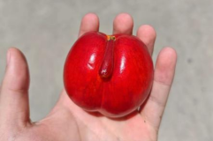 1dd3da89d66adf32cdc611ea5f71c148.png 1dd3da89d66adf32cdc611ea5f71c148.png