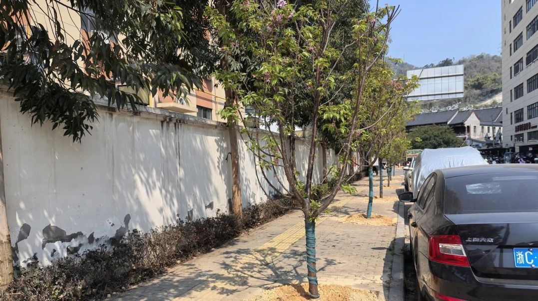 4dbc73690846991b4cb29697bdc6fa87.jpg 4dbc73690846991b4cb29697bdc6fa87.jpg