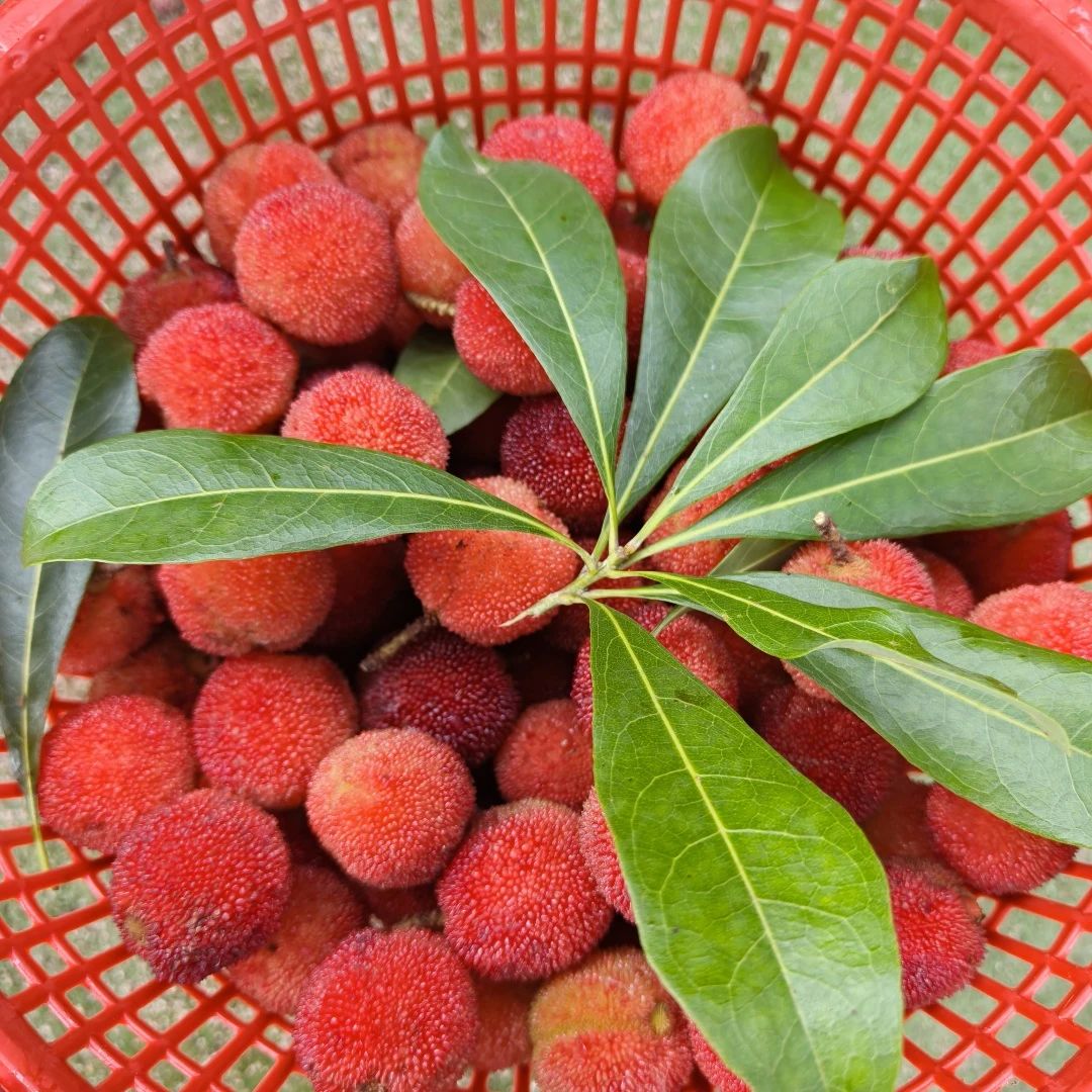 bc8c015598a1cfe6f00b6ada7ac357b0.jpg bc8c015598a1cfe6f00b6ada7ac357b0.jpg